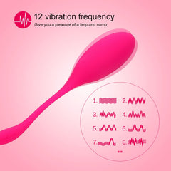 Remoter Control Vibrator - Lusty Age
