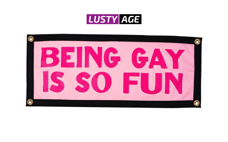 Gay Pleasure Products: A Comprehensive Guide to Enhancing Intimacy and Fun | LustyAge