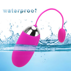 Wireless App Control Clit Egg Vibrator - Lusty Age