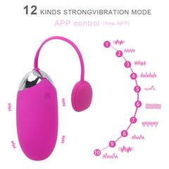 Wireless App Control Clit Egg Vibrator - Lusty Age