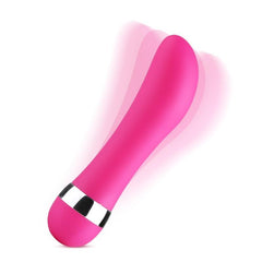 Realistic Dildo Bullet Vibrator - Lusty Age
