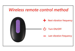 Remote control penis Dildo Vibrator - Lusty Age