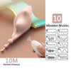 Female Clitoral Stimulator Remote Control Panties Vibrator - Lusty Age